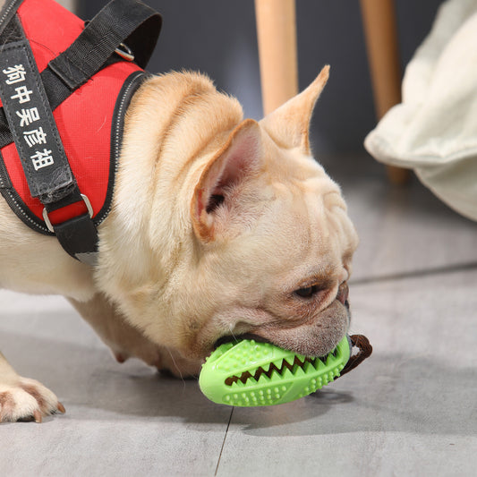 Interactive Dog Food Leakage Toy - Elastic Rubber Ball