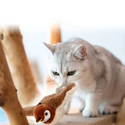 Pet Plush Toy
